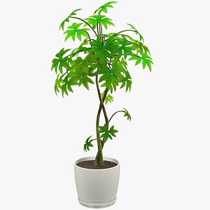 3D tree white pot