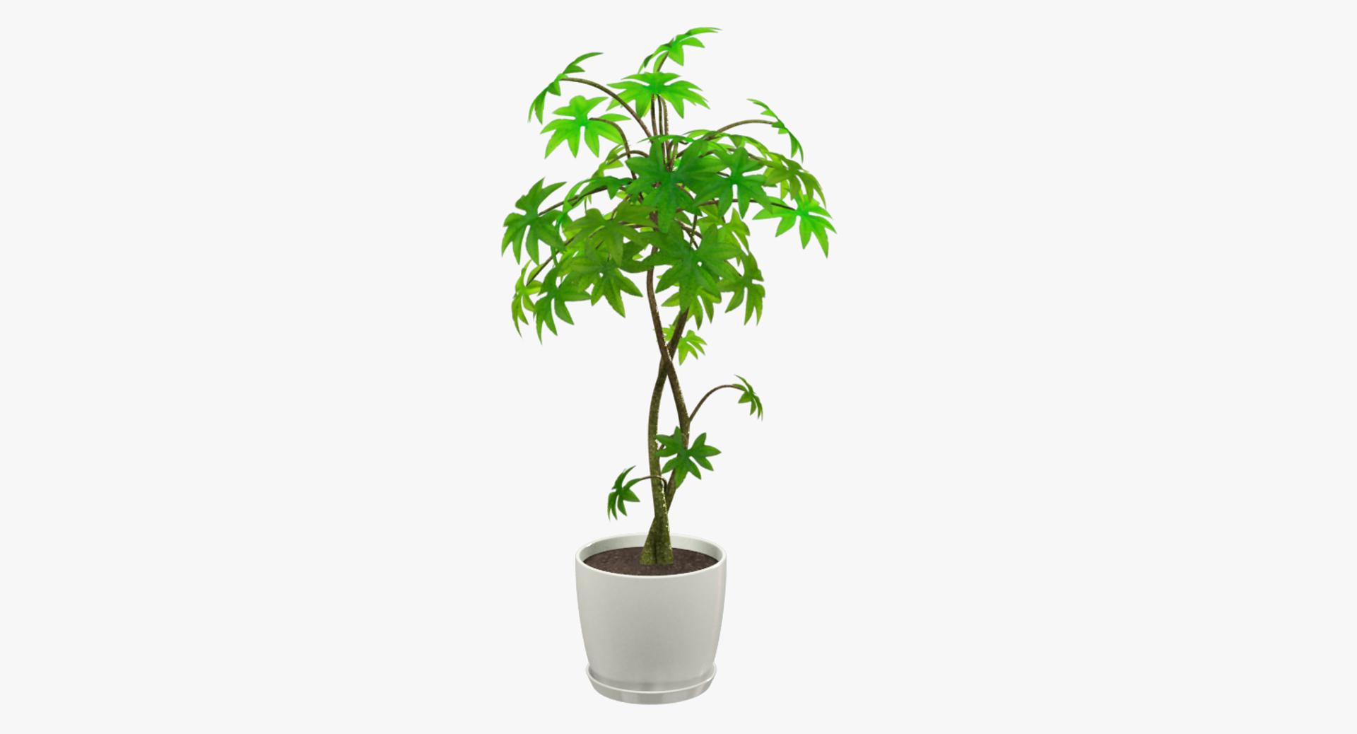 3D tree white pot https://p.turbosquid.com/ts-thumb/Ji/VNCGRv/mkynk1nh/test_0001copy/jpg/1498070087/1920x1080/turn_fit_q99/d9a345232fbad6d98e73079e36342d6ccd519bfb/test_0001copy-1.jpg