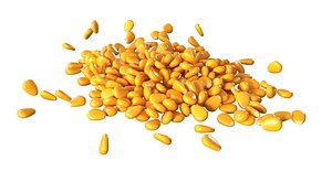 Corn Kernel PBR 3D
