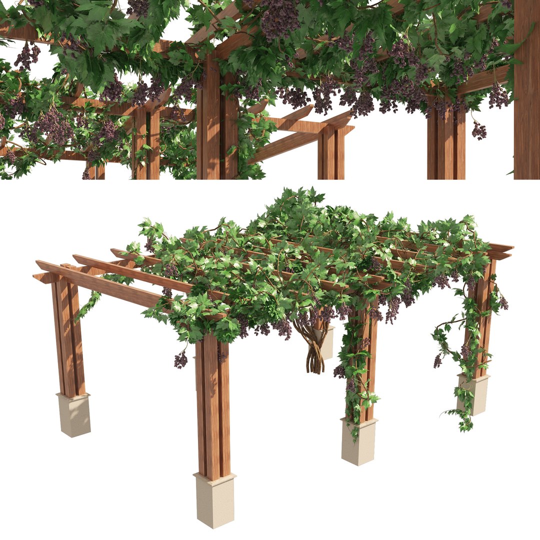 Climbing Ivy Plant 3D Pack model https://p.turbosquid.com/ts-thumb/Ji/dmOKwX/Ab/cpover/jpg/1654204424/1920x1080/fit_q87/87ed412256307c96c27eb29733d71514251af7a3/cpover.jpg