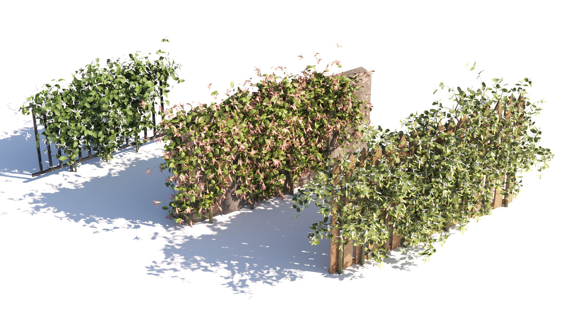 Climbing Ivy Plant 3D Pack model https://p.turbosquid.com/ts-thumb/Ji/dmOKwX/GN/all/jpg/1709627578/1920x1080/fit_q87/7b8dad25cbef69b6f301bee630c1c23dd3a03765/all.jpg