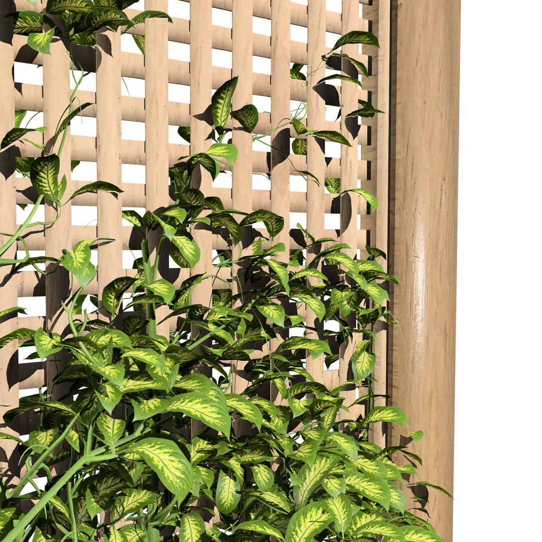 Climbing Ivy Plant 3D Pack model https://p.turbosquid.com/ts-thumb/Ji/dmOKwX/Lq/related11/jpg/1720269655/1920x1080/fit_q87/cc86710cf85eb6e32fac033c4fec73edd9468102/related11.jpg