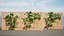 Climbing Ivy Plant 3D Pack