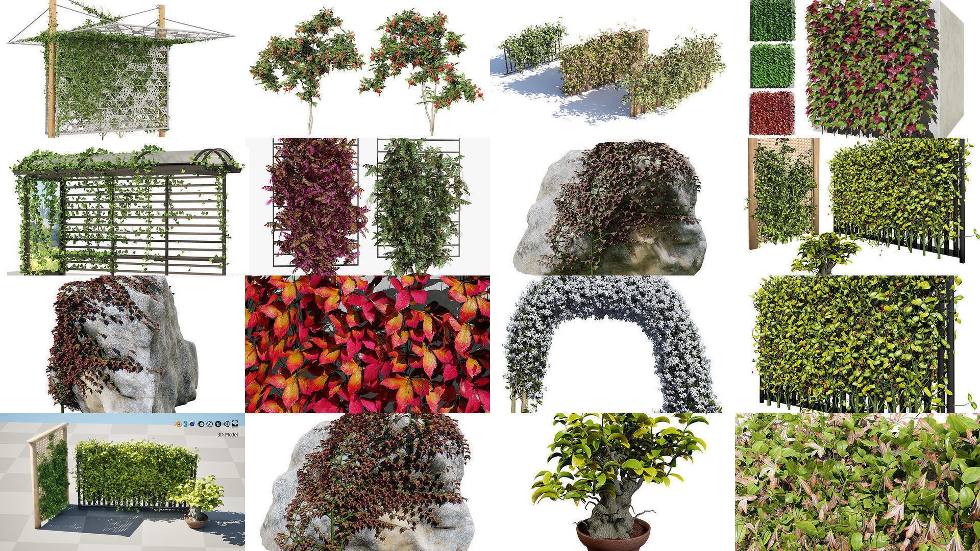 Climbing Ivy Plant 3D Pack model https://p.turbosquid.com/ts-thumb/Ji/dmOKwX/Ma/50climbingivycollection3dmodele42dbe3cd5/jpg/1722250439/1920x1080/fit_q87/a38a39401ccbec788afc767b13895fcaa3b642ac/50climbingivycollection3dmodele42dbe3cd5.jpg