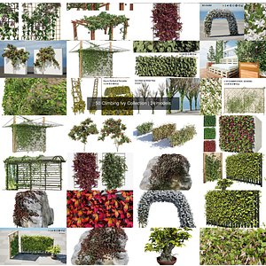 Climbing Ivy Plant 3D Pack model