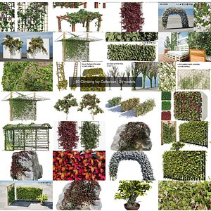 Climbing Ivy Plant 3D Pack