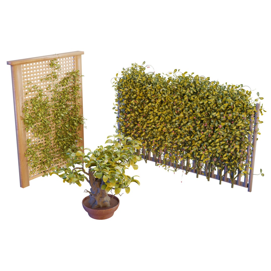 Climbing Ivy Plant 3D Pack model https://p.turbosquid.com/ts-thumb/Ji/dmOKwX/PO/z01renders/jpg/1720269594/1920x1080/fit_q87/384aae1ac6df5d94e4cd8d670ee87d42a9ca9386/z01renders.jpg