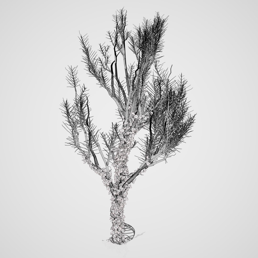 Climbing Ivy Plant 3D Pack model https://p.turbosquid.com/ts-thumb/Ji/dmOKwX/Wz/ivyontrunk202wire/jpg/1697584199/1920x1080/fit_q87/c493595ff279d01473f765da1a5e2bbeb193cfa8/ivyontrunk202wire.jpg
