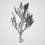 Climbing Ivy Plant 3D Pack