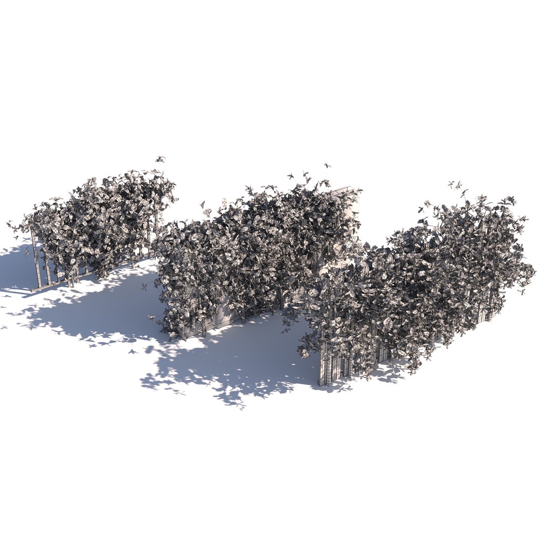 Climbing Ivy Plant 3D Pack model https://p.turbosquid.com/ts-thumb/Ji/dmOKwX/YX/wire/jpg/1709627587/1920x1080/fit_q87/ae9e04f81905cc01657835686ae2c6355c3c18a4/wire.jpg