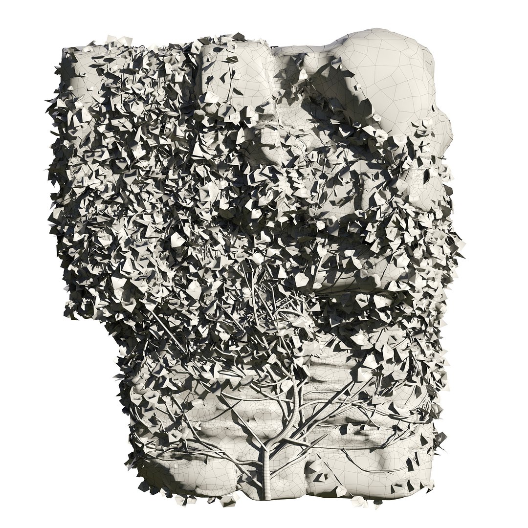 Climbing Ivy Plant 3D Pack model https://p.turbosquid.com/ts-thumb/Ji/dmOKwX/Z9/z035/jpg/1693527711/1920x1080/fit_q87/38fd5efea53edc4235c23c814169c0be59af38c2/z035.jpg