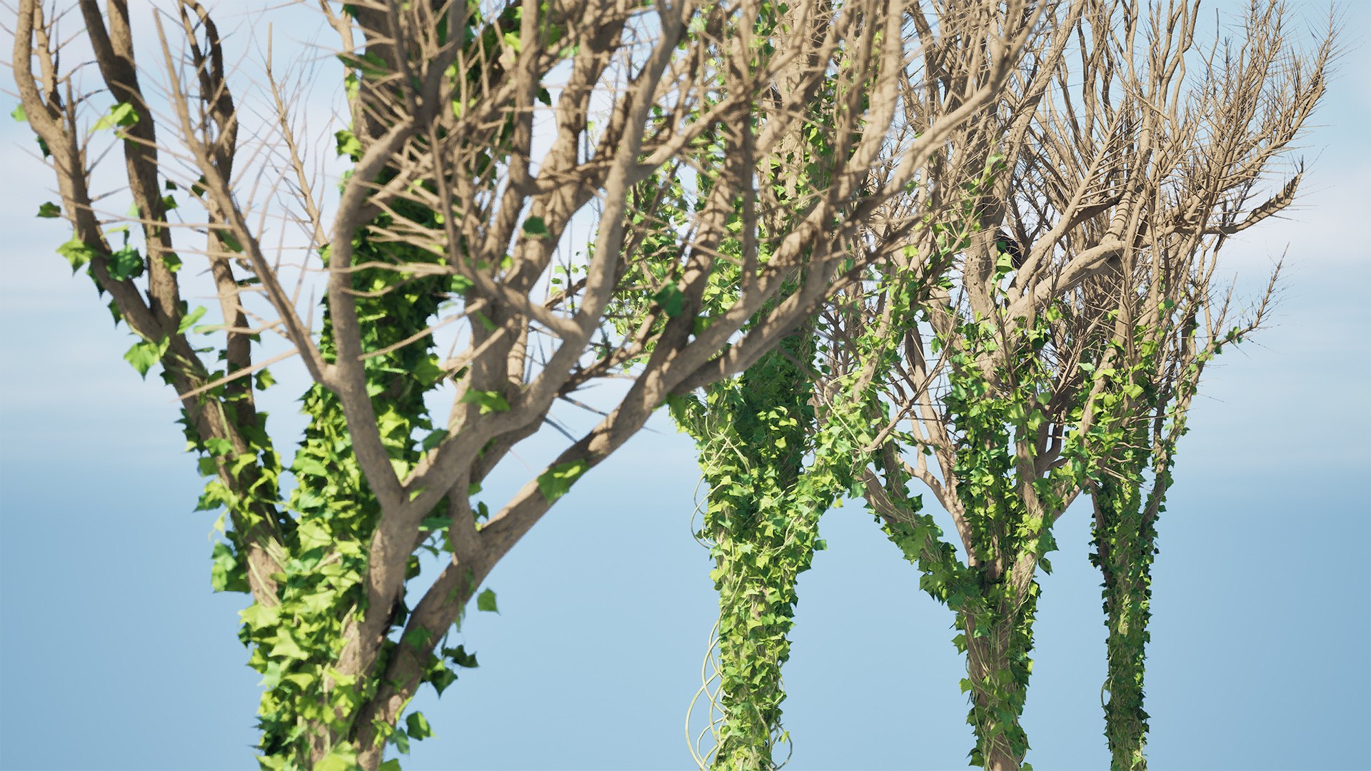 Climbing Ivy Plant 3D Pack model https://p.turbosquid.com/ts-thumb/Ji/dmOKwX/a2/highresscreenshot00006/jpg/1697584194/1920x1080/fit_q87/aaacb54ab2a0fc39bc40370683f6fb9cd88947d4/highresscreenshot00006.jpg