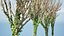 Climbing Ivy Plant 3D Pack