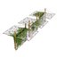 Climbing Ivy Plant 3D Pack