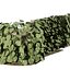 Climbing Ivy Plant 3D Pack