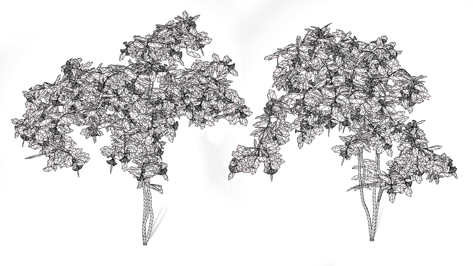 Climbing Ivy Plant 3D Pack model https://p.turbosquid.com/ts-thumb/Ji/dmOKwX/pw/wire/jpg/1709045005/1920x1080/fit_q87/d012ed155fb1748474f6b179c5539a88b63624cc/wire.jpg