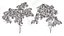 Climbing Ivy Plant 3D Pack