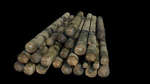 logs 3ds