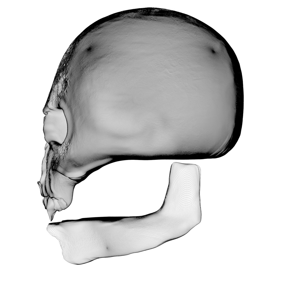 3D Vampire Skull Model - TurboSquid 1556667