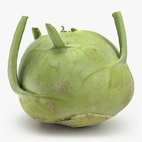 Kohlrabi German Turnip 01 - 3D Scanned