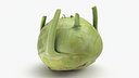 Kohlrabi German Turnip 01 - 3D Scanned