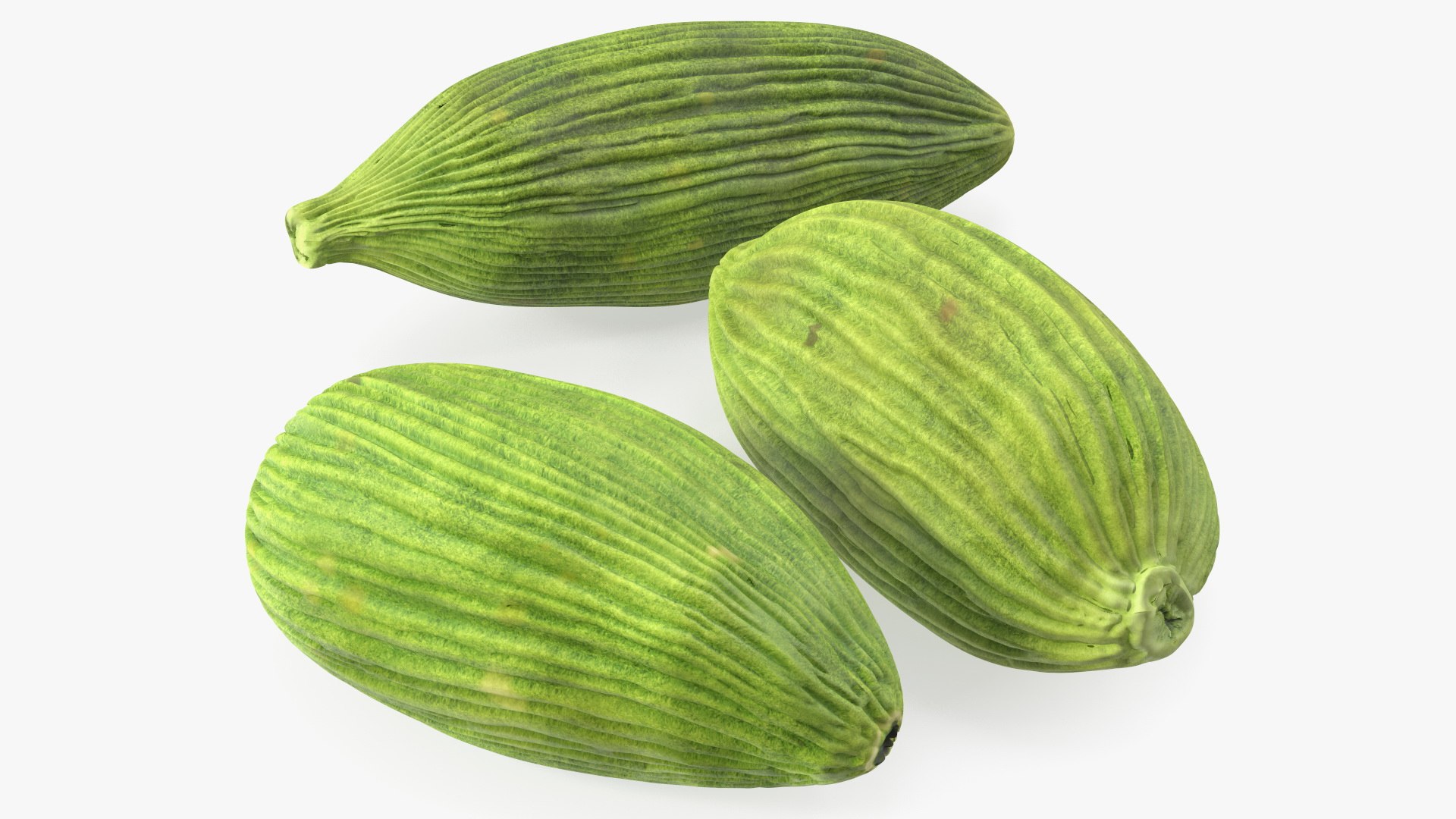 Dried Green Cardamom Fruit 3D model preview