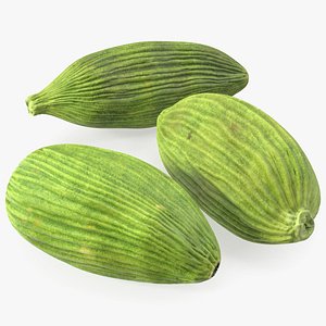 3D Dried Green Cardamom Fruit model