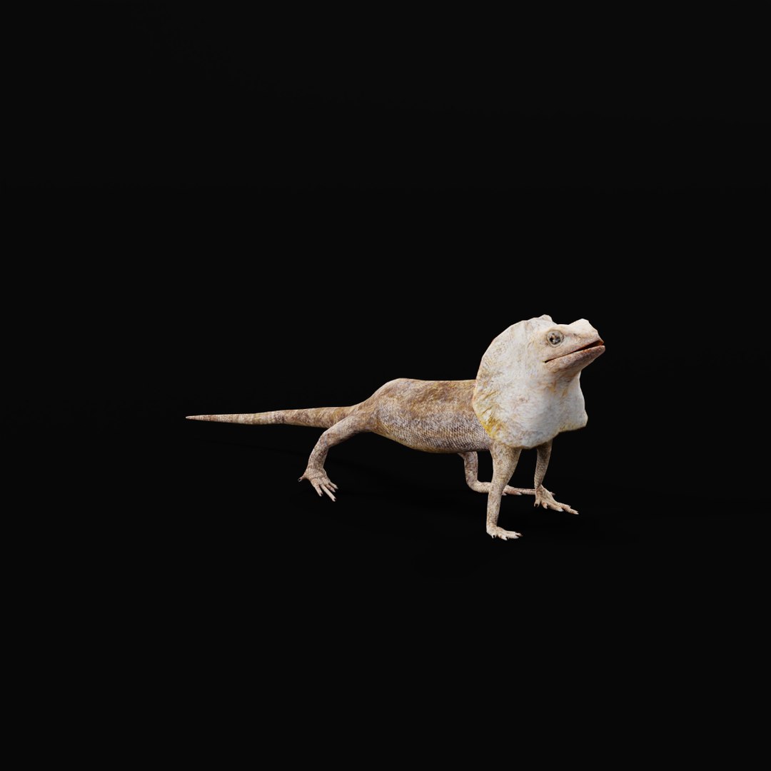 3D Frilled Lizard Agama https://p.turbosquid.com/ts-thumb/Ji/zuZCaM/Hq/search_images/png/1743117239/1920x1080/fit_q87/09e4333abc0d182869f17f5db7f275e89afd3051/search_images.jpg