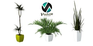 plants interior 3d max