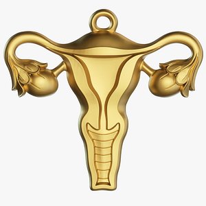 Abstract Feminine Symbol Jewelry 3D model