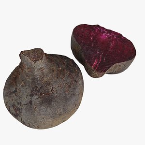 beet half obj