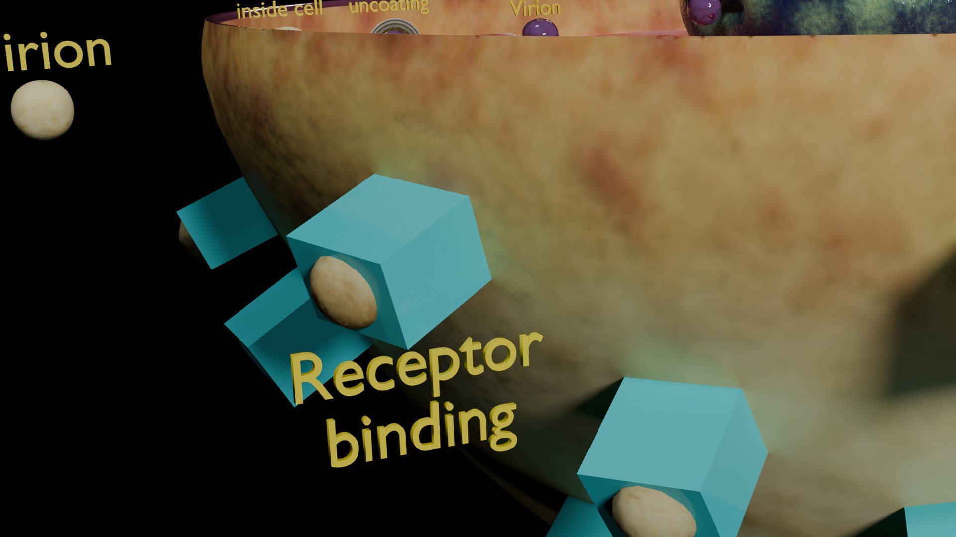 Virus Infection Cycle In Host Cell Model - TurboSquid 2301047