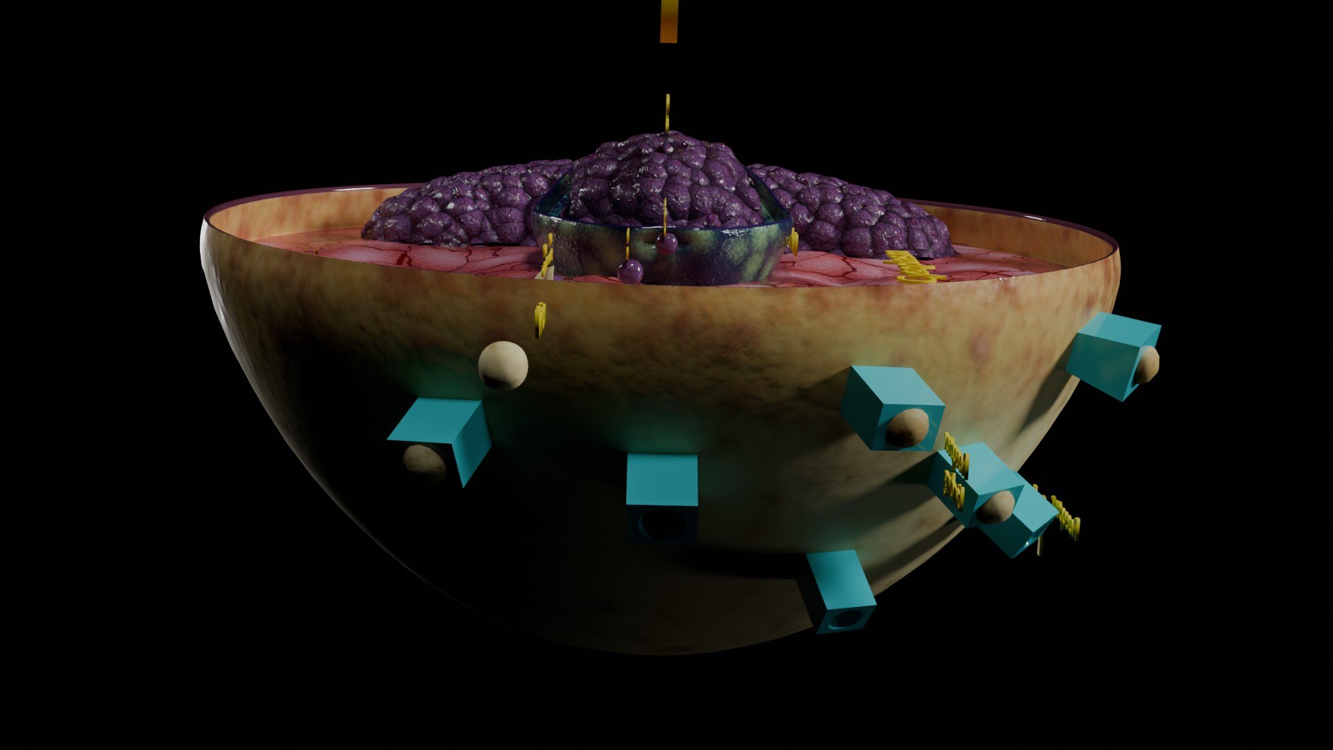 Virus infection cycle in host cell model https://p.turbosquid.com/ts-thumb/Jj/CbmhoN/RW/ps0031/jpg/1730618416/1920x1080/fit_q87/86d77f279b551fc203f0ef55ffc18ee26910bffe/ps0031.jpg