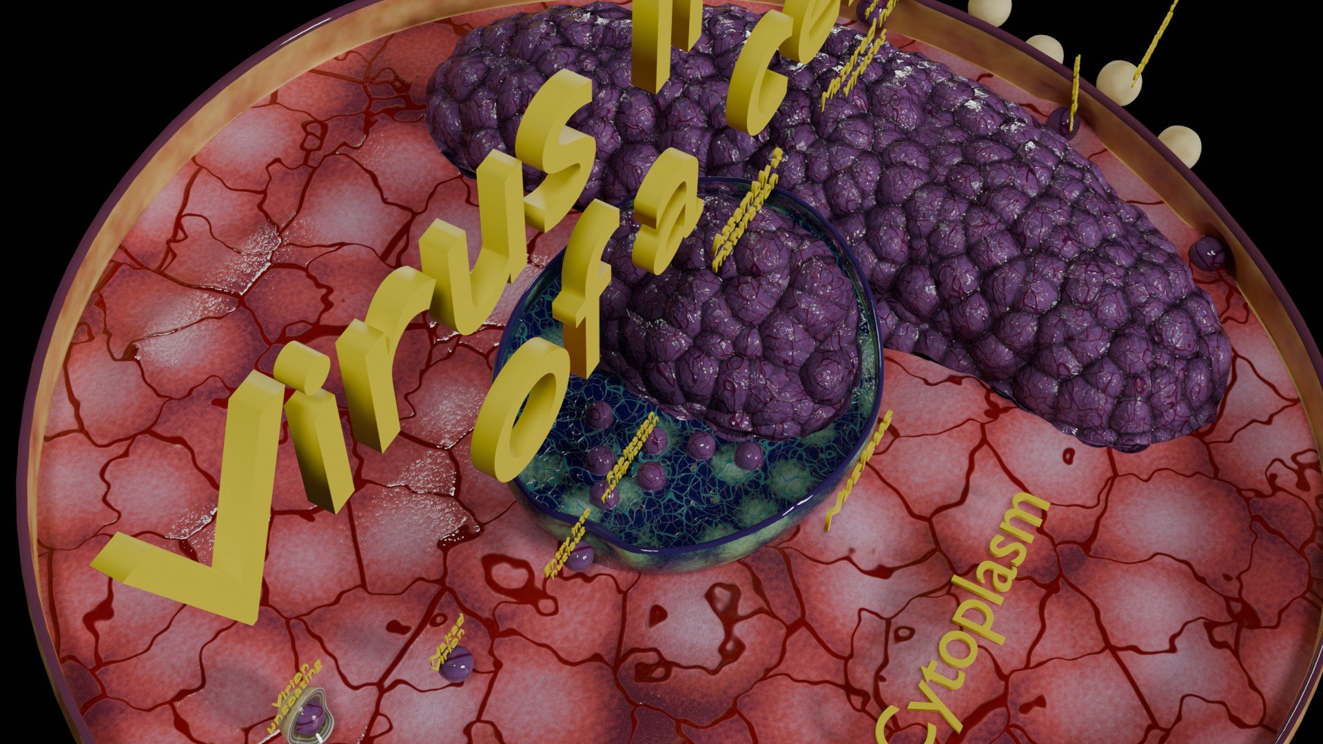 Virus infection cycle in host cell model https://p.turbosquid.com/ts-thumb/Jj/CbmhoN/Ra/ps0033/jpg/1730618418/1920x1080/fit_q87/30d97584ba4aa701da7067429fbe7fd2417d4931/ps0033.jpg