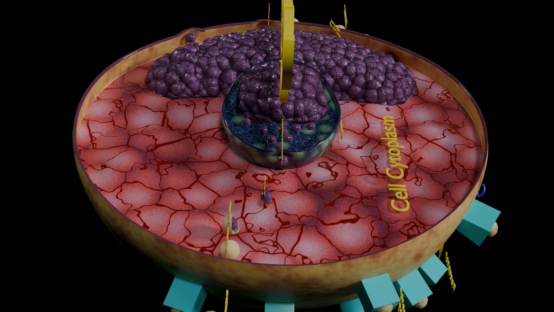 Virus infection cycle in host cell model https://p.turbosquid.com/ts-thumb/Jj/CbmhoN/gV/ps0032/jpg/1730618417/1920x1080/fit_q87/5889c7c6970d3b5ae5bad9b94291407b0957a0ce/ps0032.jpg