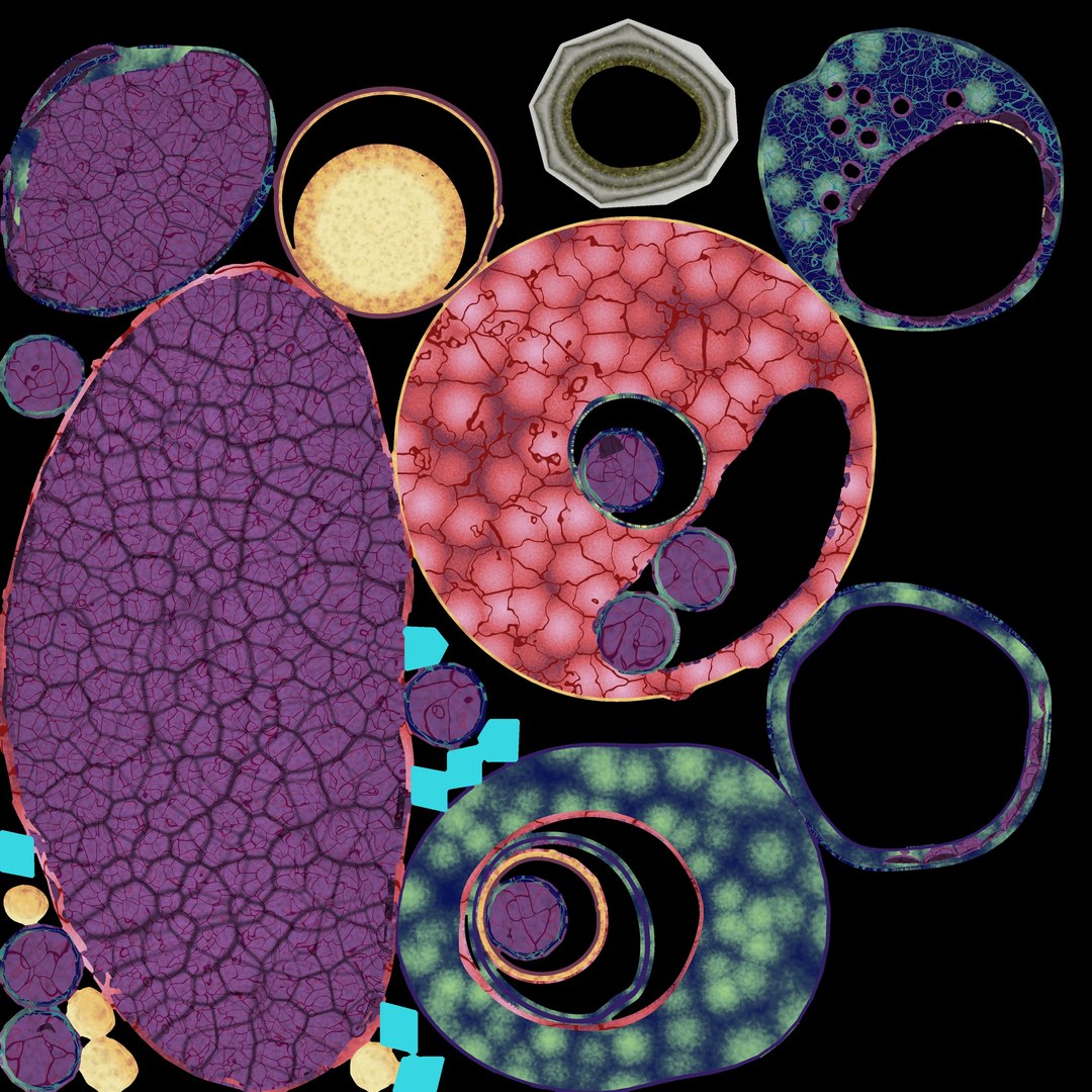 Virus infection cycle in host cell model https://p.turbosquid.com/ts-thumb/Jj/CbmhoN/jP/diffjpg/jpg/1730618834/1920x1080/fit_q87/3822e8d8f767849602b2acd53d6a7e60d83d684f/diffjpg.jpg