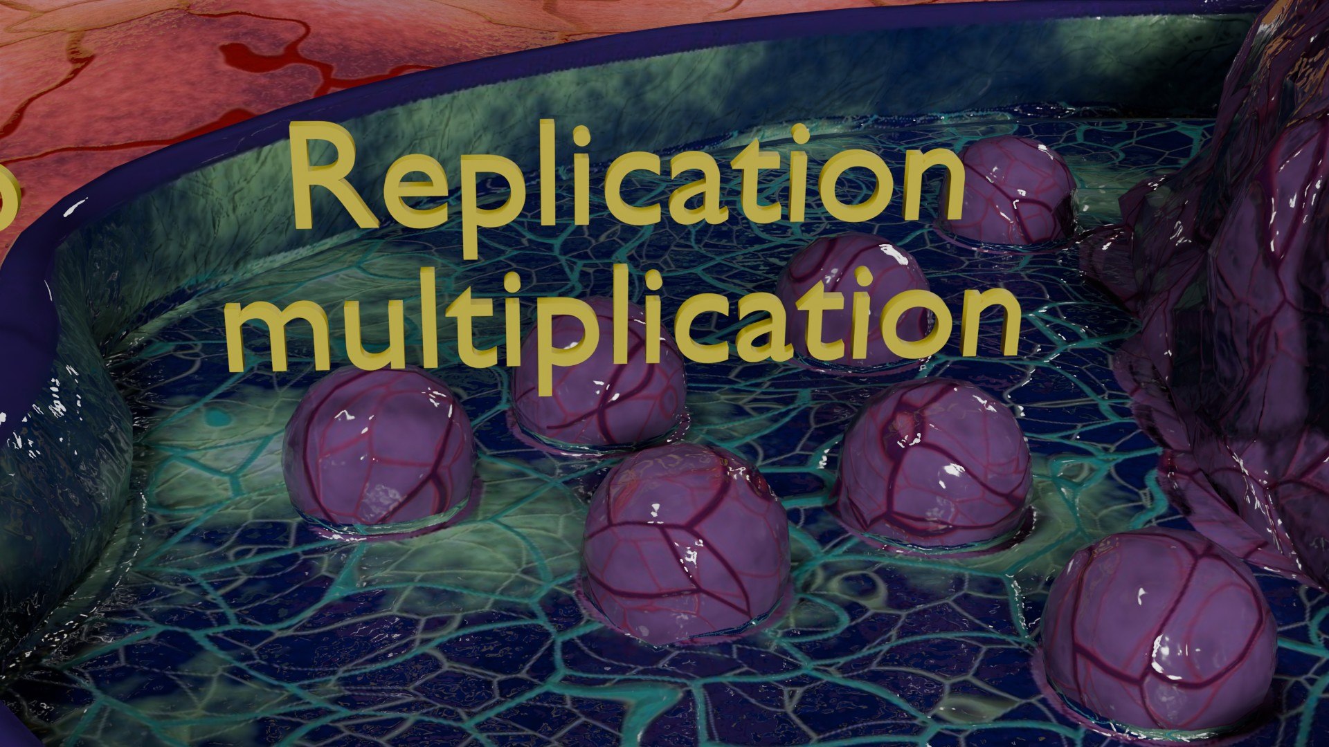 Virus infection cycle in host cell model https://p.turbosquid.com/ts-thumb/Jj/CbmhoN/qR/ps0016/jpg/1730618405/1920x1080/fit_q87/13d6a27940c38fb34fbed62d140da0a2aff44f3d/ps0016.jpg