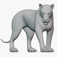 Lion Big Cat Base Mesh