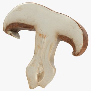 Portobello Mushroom Slice 3D model