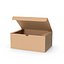 Paquete de caja (1)