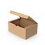 Paquete de caja (1)