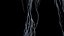 Human Female Body and Nervous System