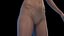 Human Female Body and Nervous System