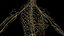 Human Female Body and Nervous System