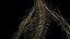 Human Female Body and Nervous System