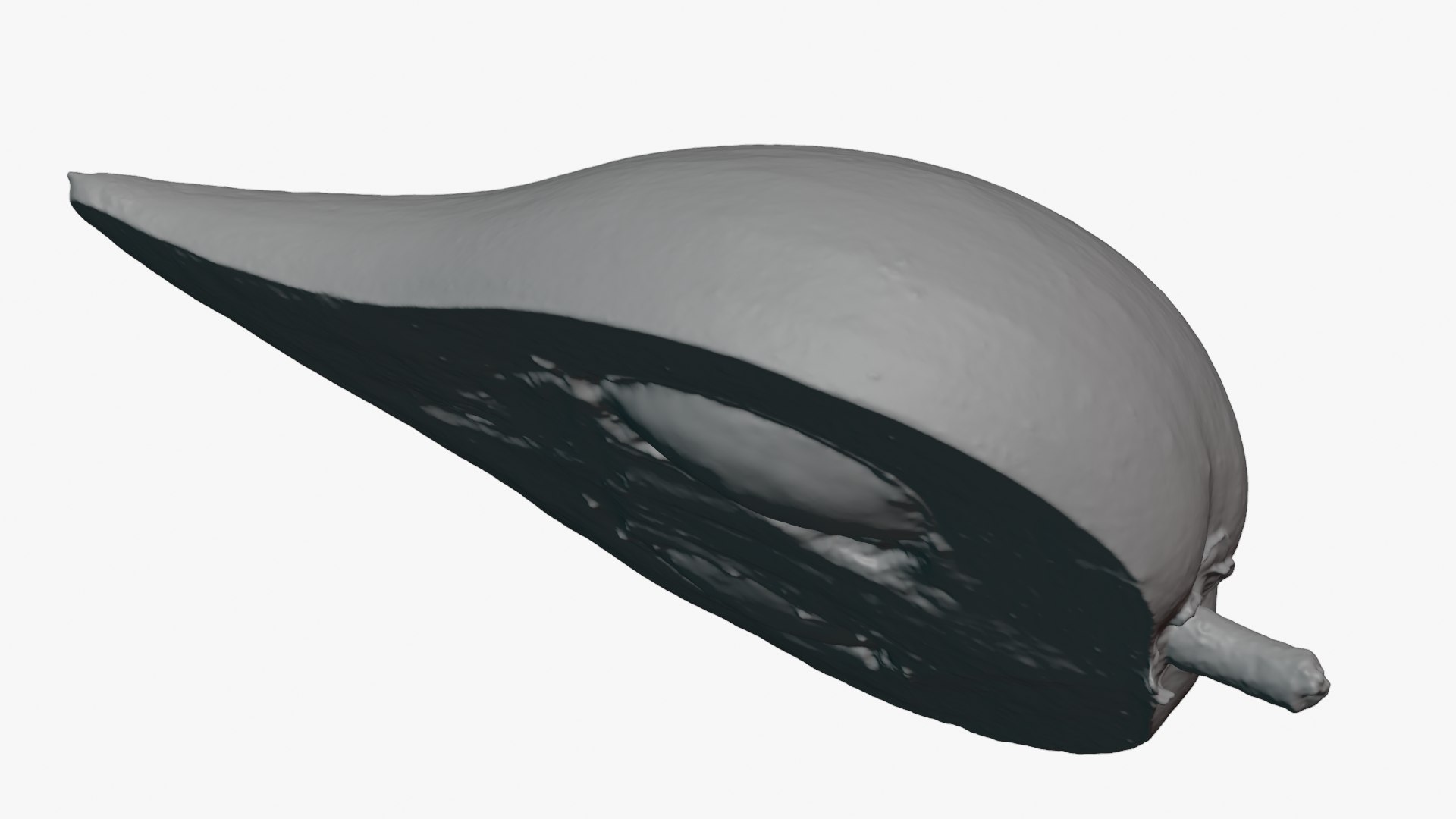 3D Half Eggfruit - For 3D Print model https://p.turbosquid.com/ts-thumb/Jj/bYCd8l/6M/tiesahalf_0006/png/1783196545/1920x1080/fit_q87/3b16afa4bfabc3609d379ef0e7fa2a2ce4f30255/tiesahalf_0006.jpg