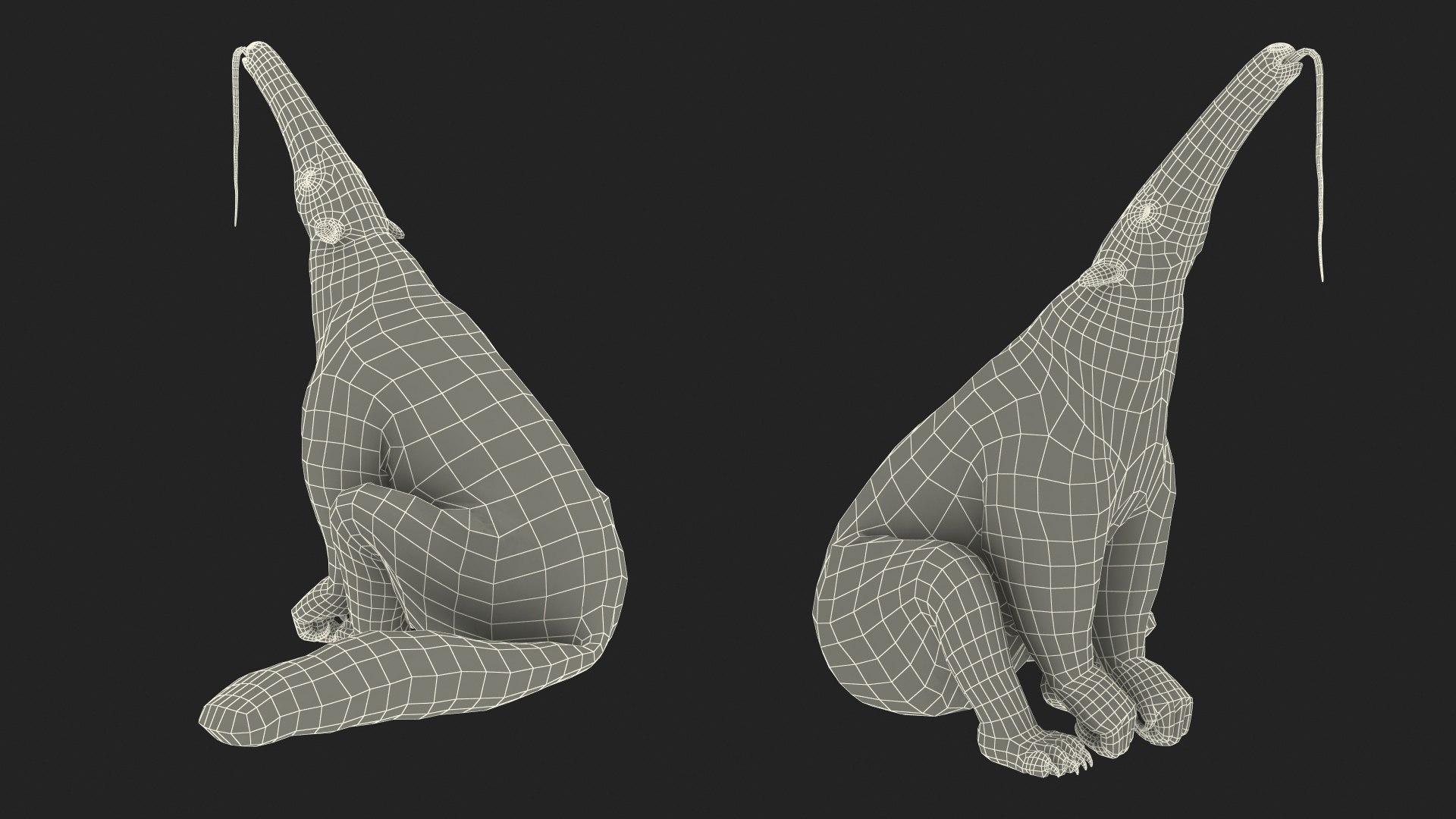 Anteater Standing Pose Fur 3D Model $199 - .max - Free3D