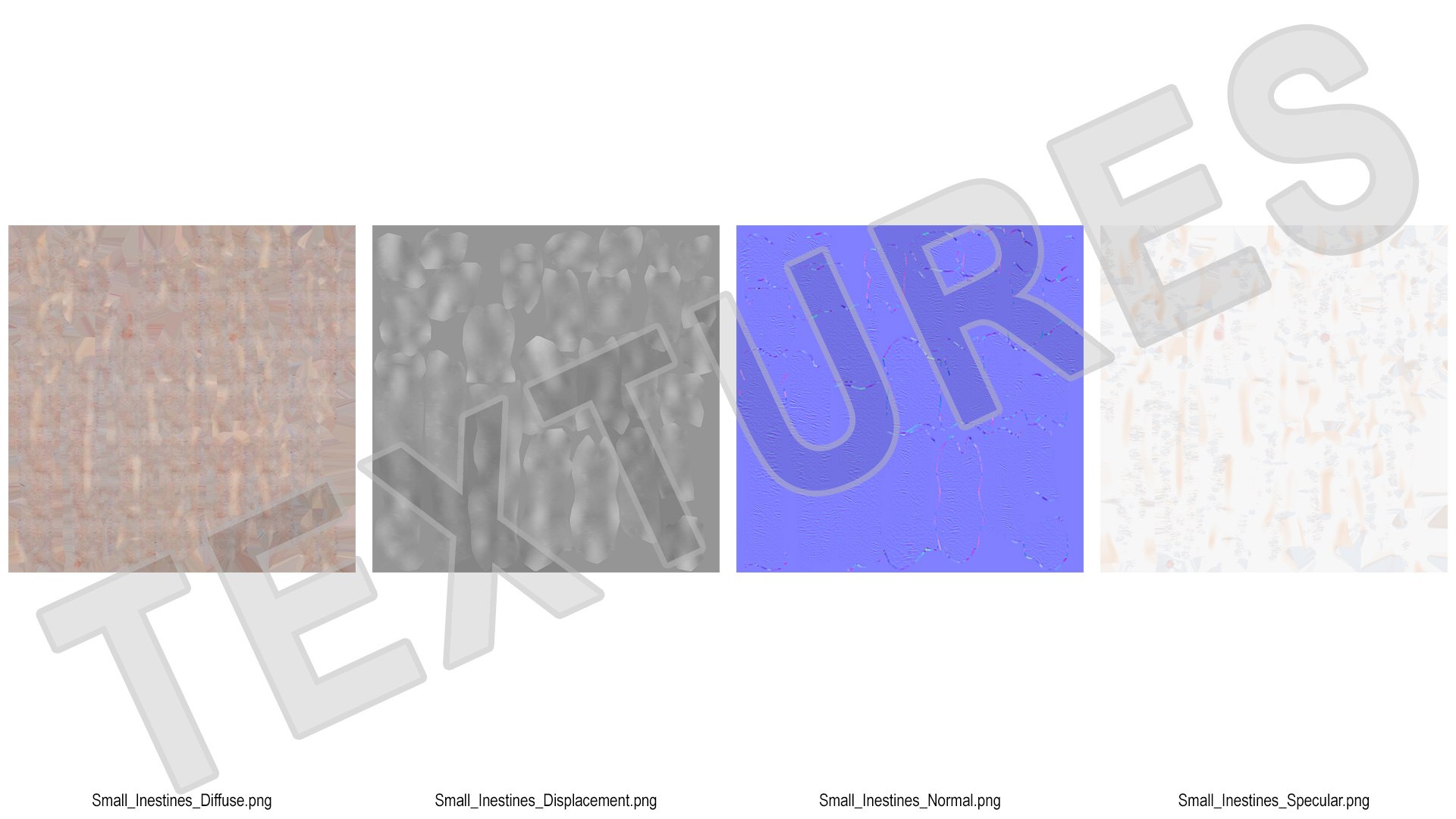 3D model human small intestine https://p.turbosquid.com/ts-thumb/Jj/iOhhSR/08CDciaH/humansmallinestines3dsmodel013/jpg/1570748737/1920x1080/fit_q87/fb6b37fdf5a3a5bd4625d3de31c3c3d38c1243fa/humansmallinestines3dsmodel013.jpg