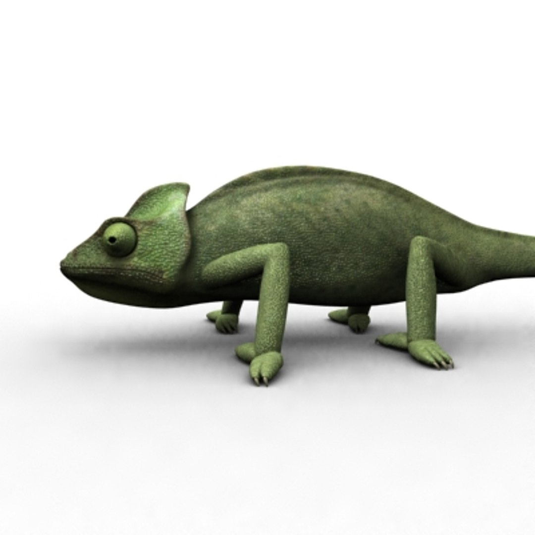 Chameleon 3d Model 2954