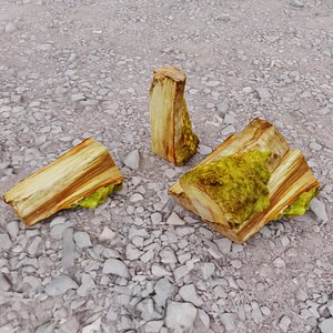 chunk wood 3D model